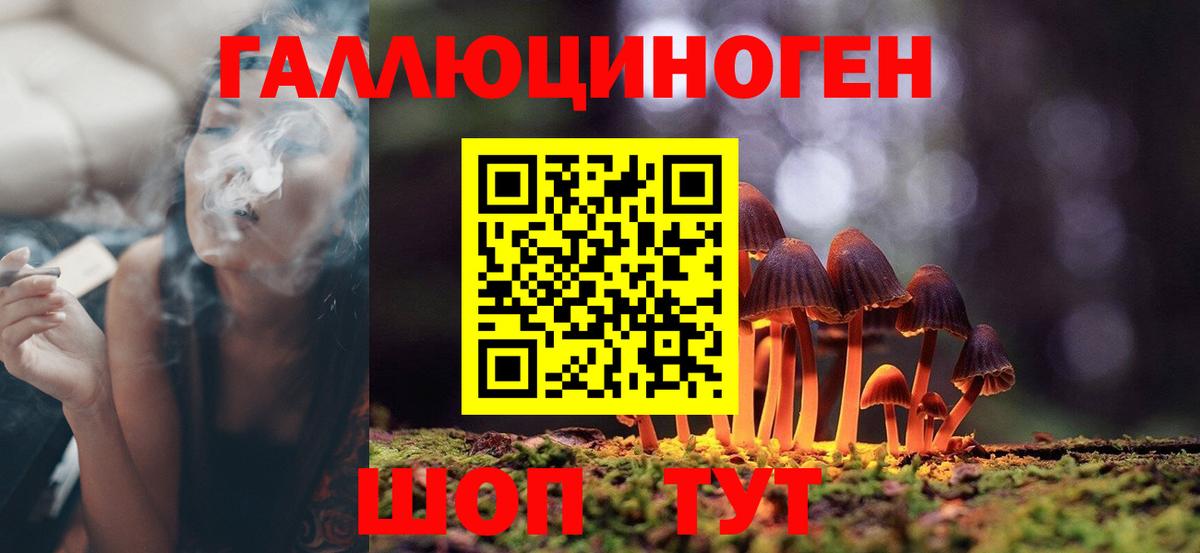 Псилоцибиновые грибы мицелий  Вход с VPN  Новочебоксарск 