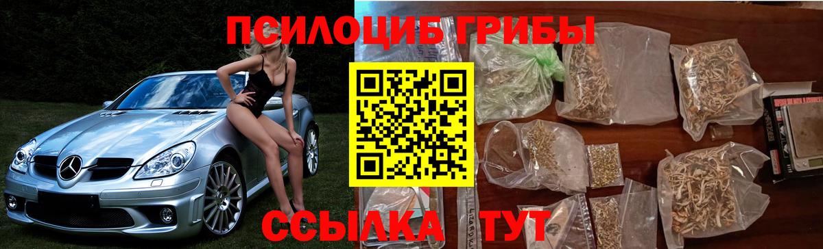 Галлюциногенные грибы Psilocybine cubensis Новочебоксарск